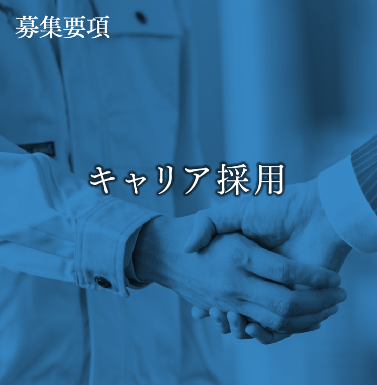 募集要項 キャリア採用