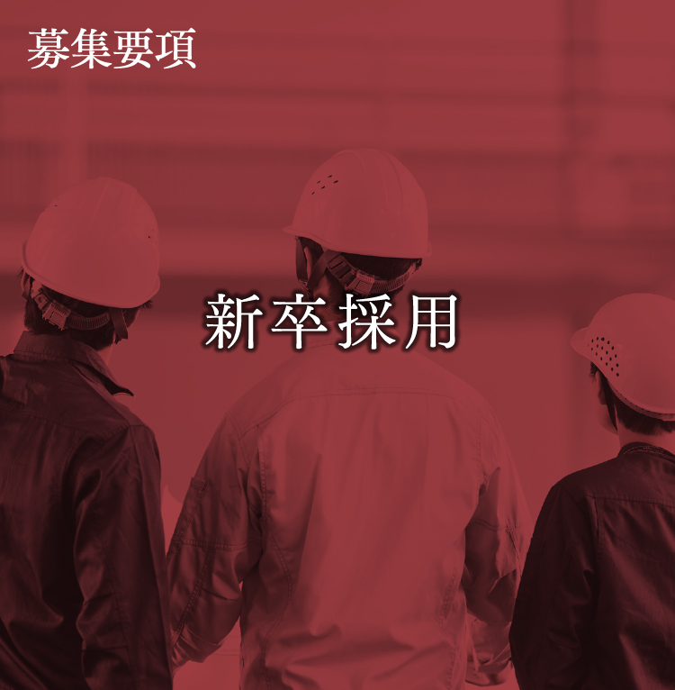 募集要項 新卒採用